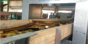 Wood Log Metal Detector