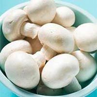 Organic Button Mushroom