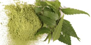 Neem Leaves Powder