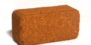 Coco Peat Briquette