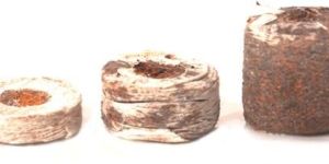 Coco Peat Pellets or Coins