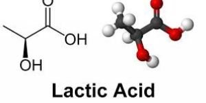 Lactic Acid