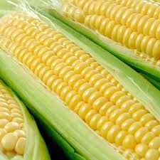 Sweet Corn