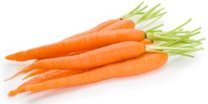Fresh Carrot