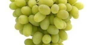 Fresh Grapes