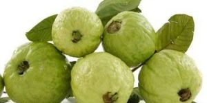 Fresh Guava