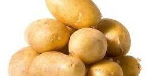 Fresh Potato