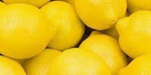 Fresh Lemon