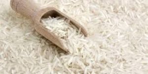Basmati Rice