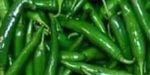 Fresh Green Chilli
