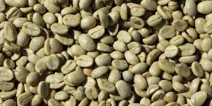 Green Coffee Beans