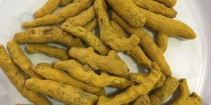 Turmeric Finger
