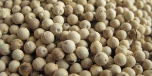 White Pepper Seeds