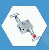 Valve Manifold