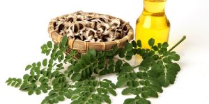 Moringa Oil