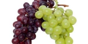 Fresh Grapes
