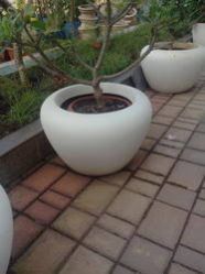 FRP Planters