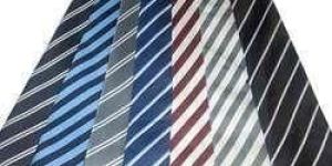 School Uniform Ties