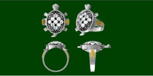 Tortoise Rings