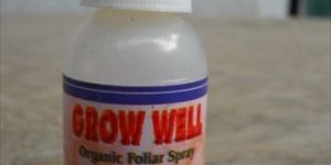 ORGANIC PHYTO HORMONE BOOST POLLINATION