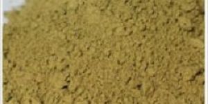 Cassia Tora Powder