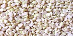 Skinned and Split White Lentil (Urad Dal)