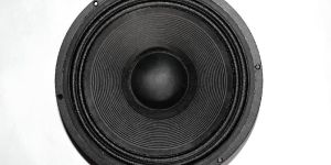 12 Inch 120 Watt Speaker