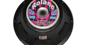 18 Inch 650 Watt Speaker