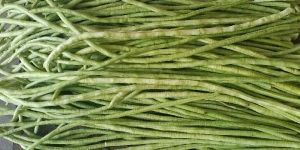 Long Bean