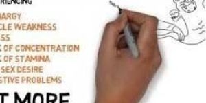 Whiteboard Video Production