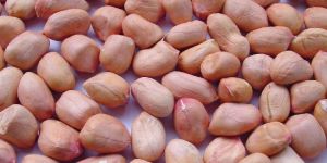 Groundnut Kernels