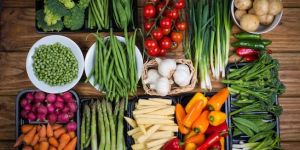 Fresh Vegetables
