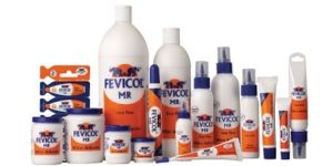 Fevicol Adhesive