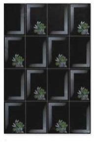 Wall Tiles