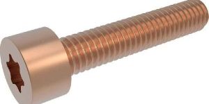 Phosphor Bronze Nuts