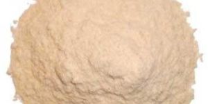 Whole Wheat Flour