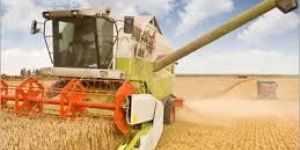 Project Report Services