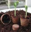Nature Neem Coir Bio Pots