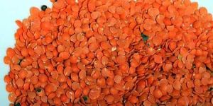 Red Lentils