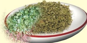 Dried Coriander Leaves