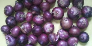 Red Onion