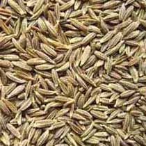 Cumin Seeds