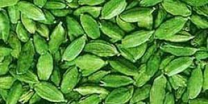 Green Cardamom Seeds