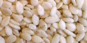 Sesame Seeds