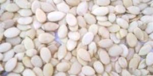 Watermelon Seed Kernel