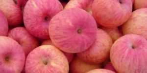 Fresh Kashmiri Apple