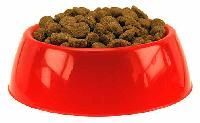 Dog Bowl