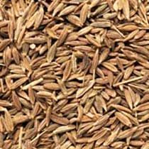 Cumin Seeds
