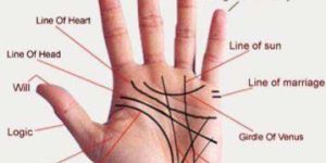 Palmistry Services