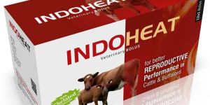 Indo Heat Veterinary Bolus